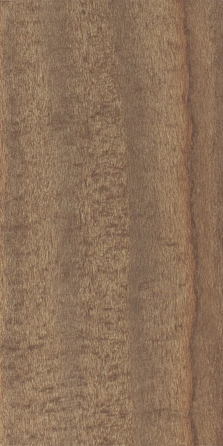 English Walnut
