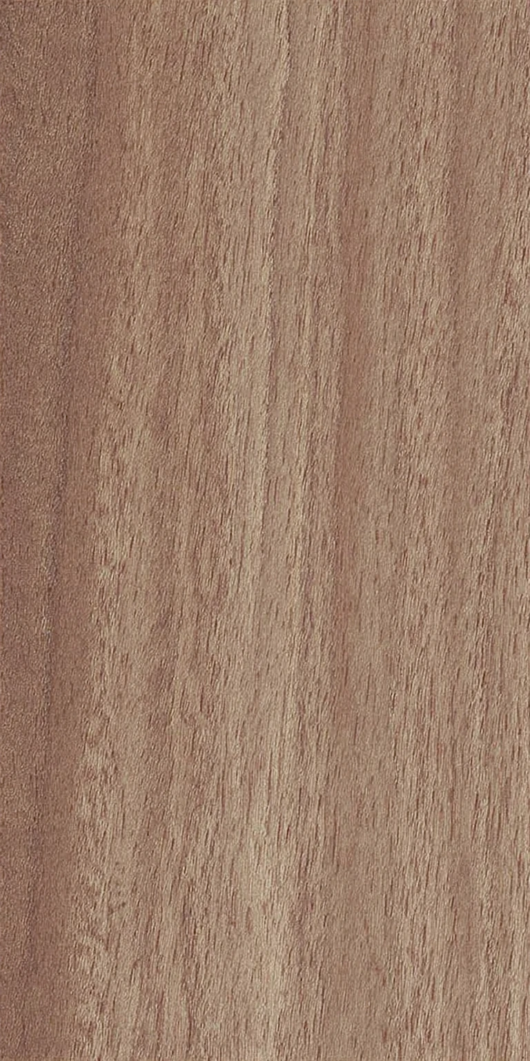 African Mahogany