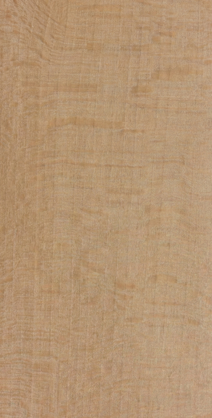 American Beech wood grain