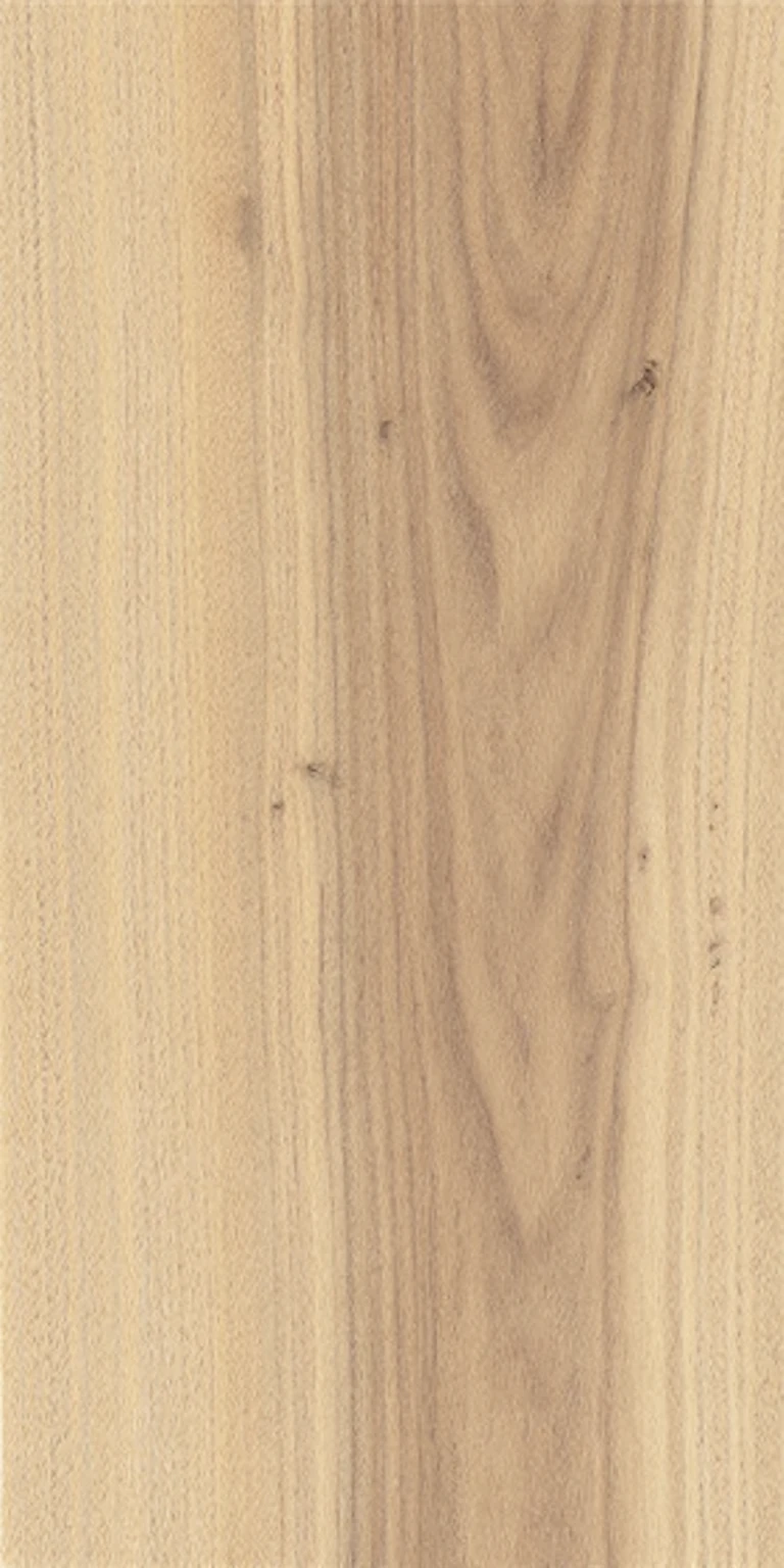 American Elm wood grain