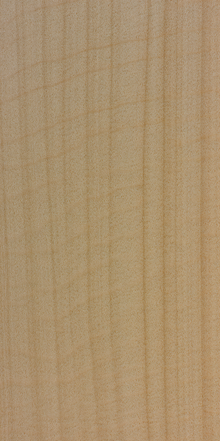 Bigleaf Maple wood grain