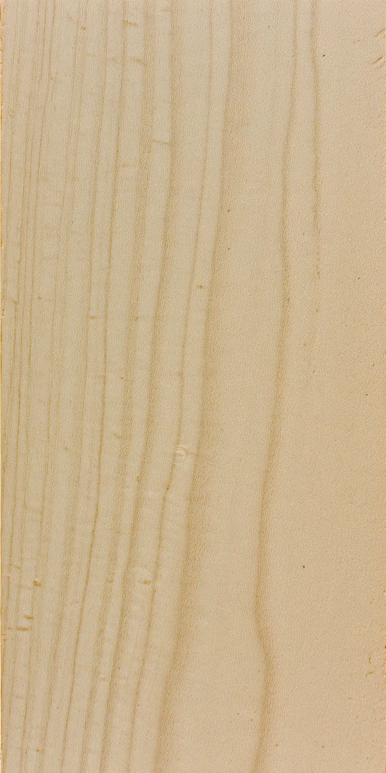 Black Maple wood grain