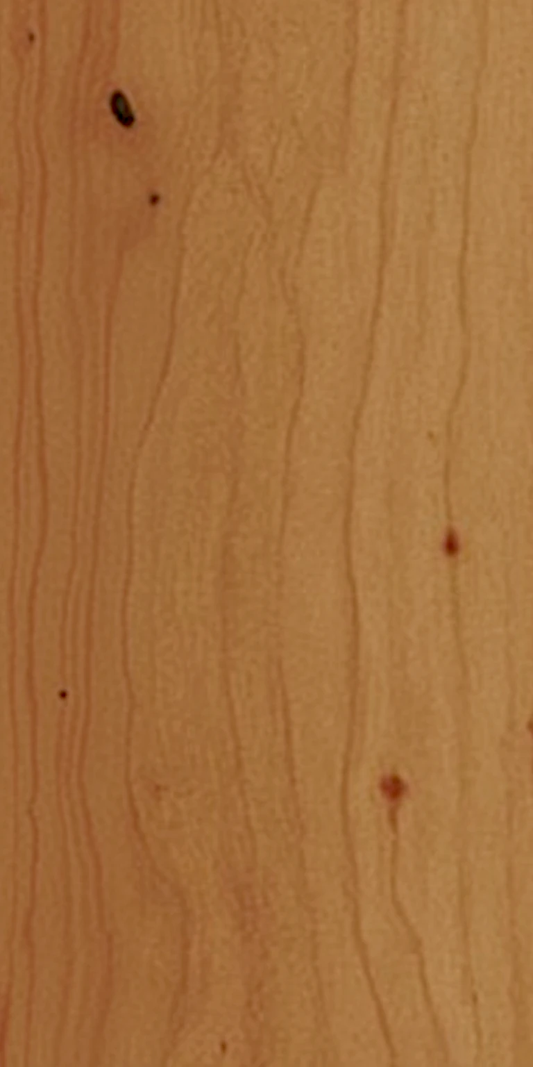 English Yew wood grain