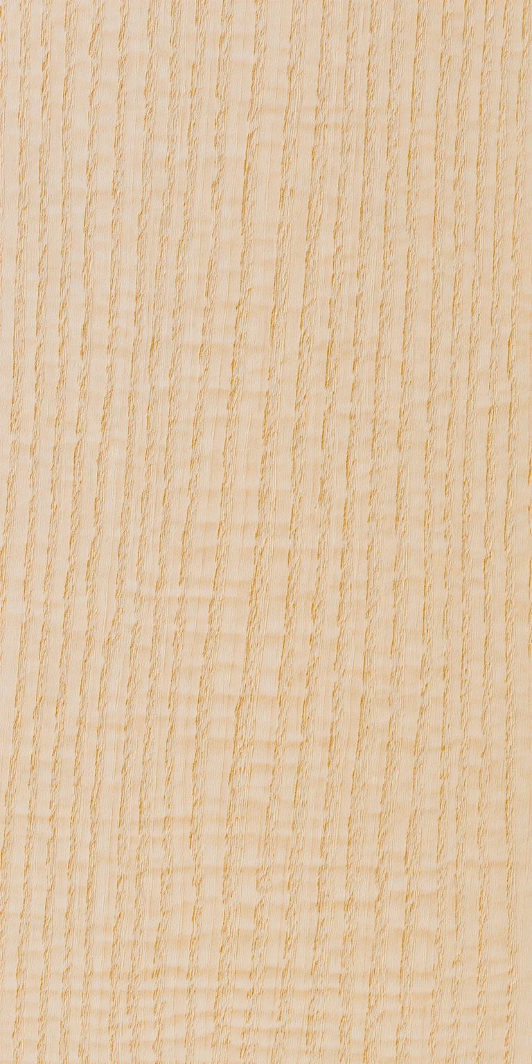 European Ash wood grain