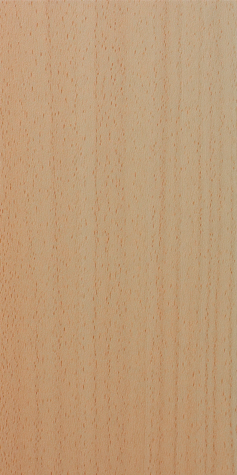 European Beech wood grain