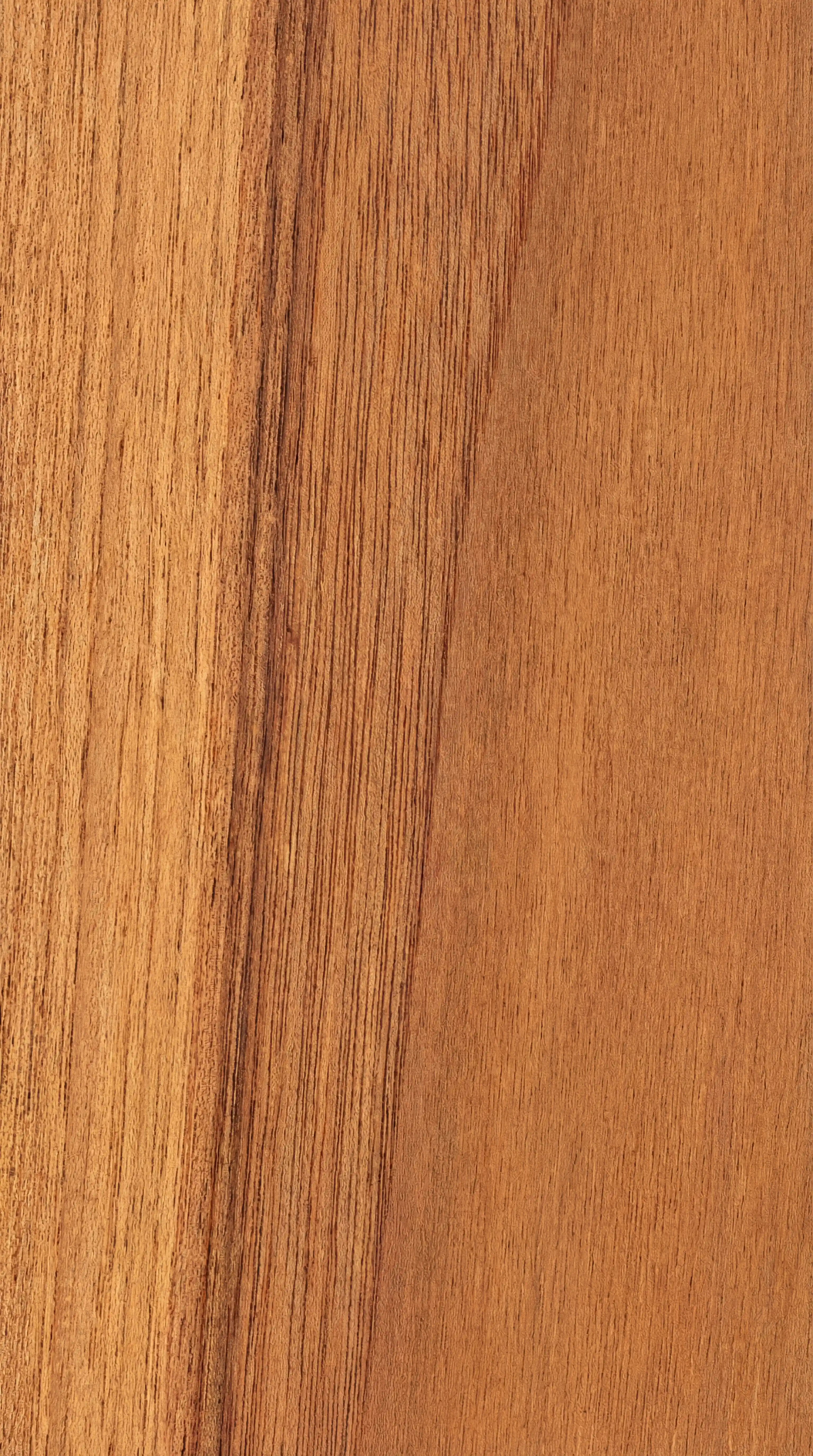Koa wood grain