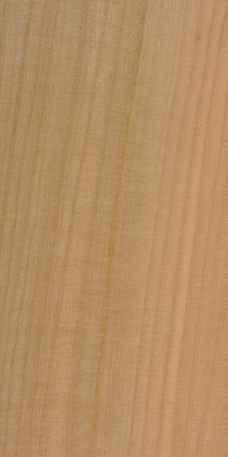 Silver Maple wood grain