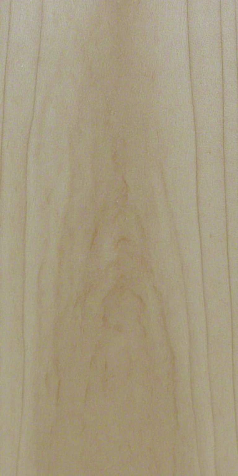 Southern Magnolia wood grain