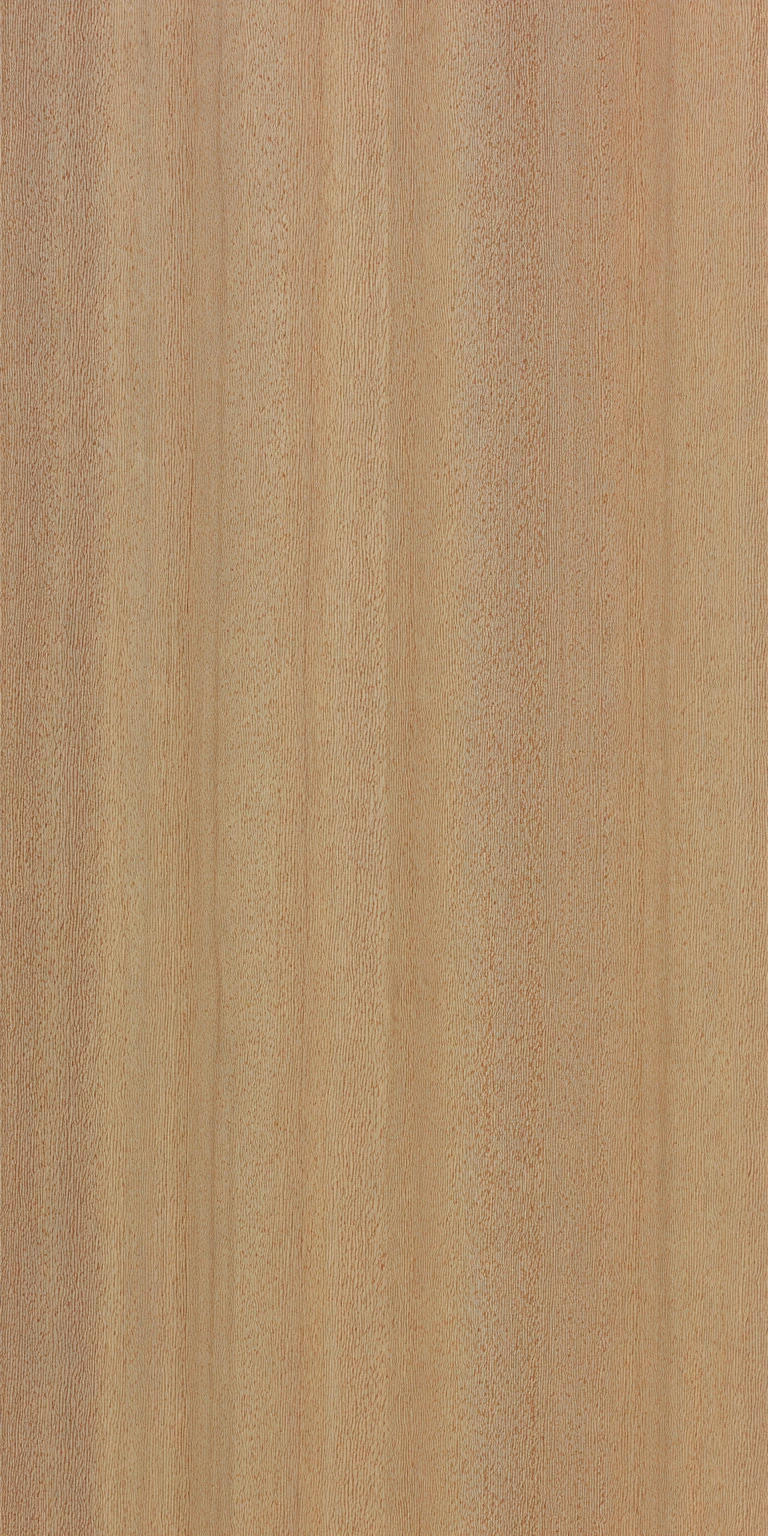 Tasmanian Blue Gum wood grain