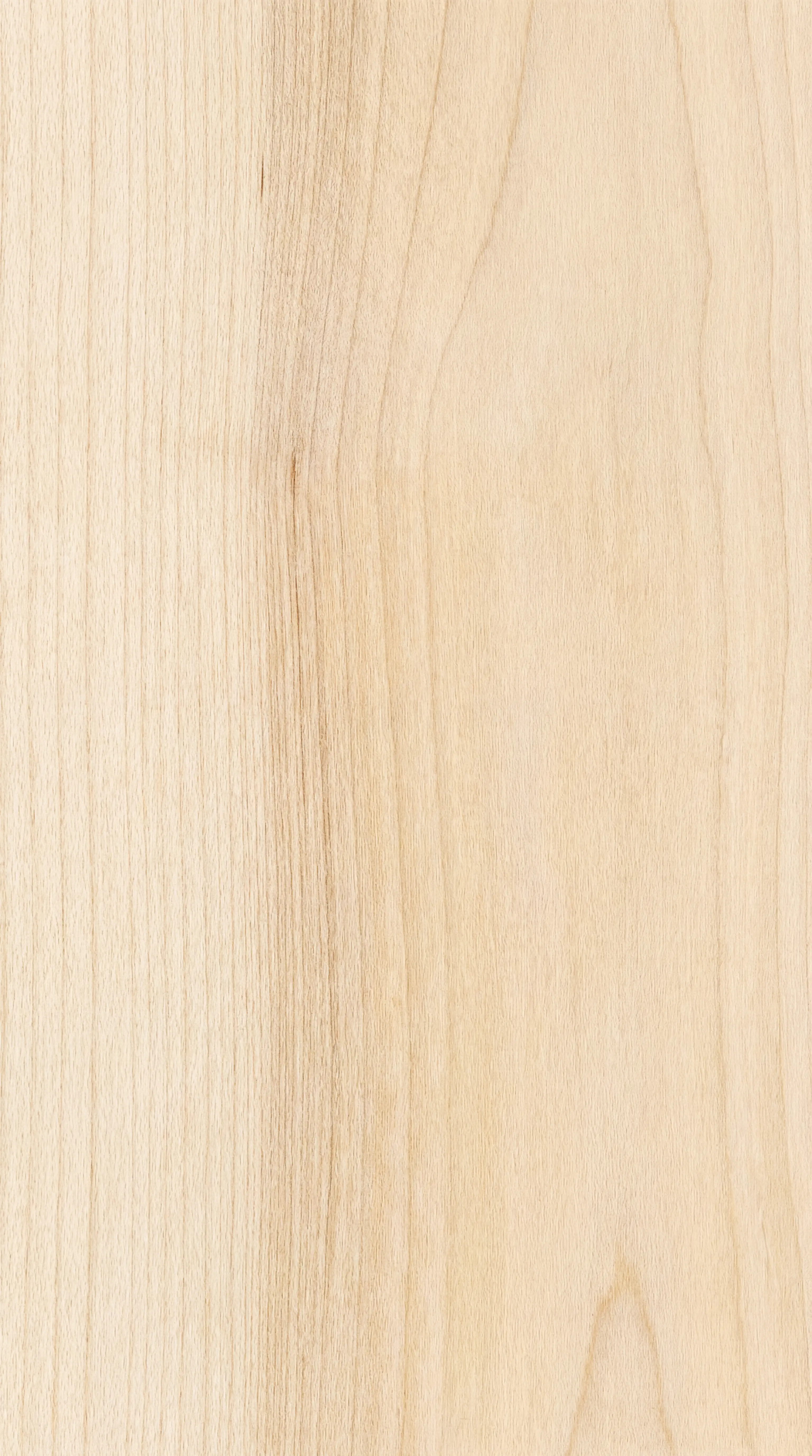 White Fir wood grain