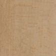 American Beech