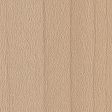 American Sycamore