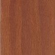 Andaman Padauk