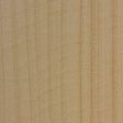 Bigleaf Maple