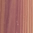 Eastern Red Cedar
