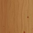 English Yew