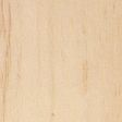 European Birch
