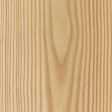 European Larch
