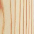 Longleaf Pine