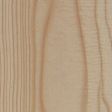 Mediterranean Cypress