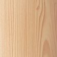 Norway Spruce