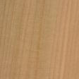 Silver Maple