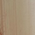 Sugar Maple