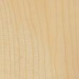 Sycamore Maple