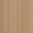 Tasmanian Blue Gum
