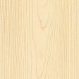 White Spruce