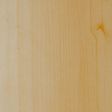Yellow Birch