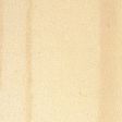 Yellow Poplar